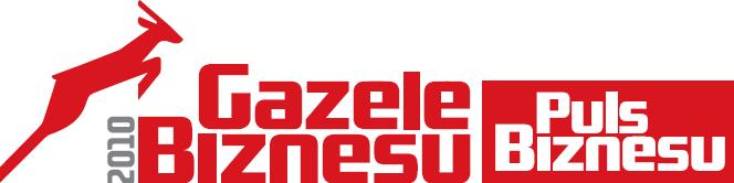 Gazele Biznesu 2010